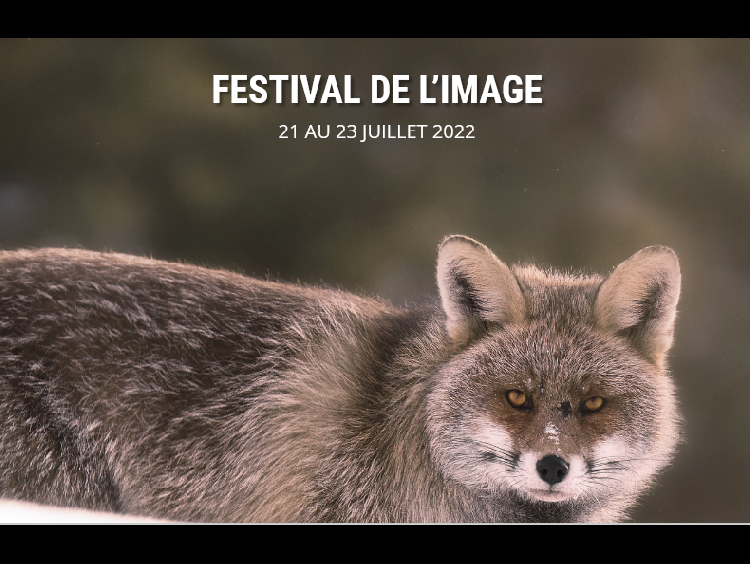 3ème édition du Festival de l'image