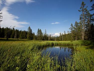 Cinéma de montagne « Le Grand Marais »